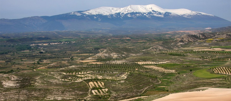 Alto Moncayo