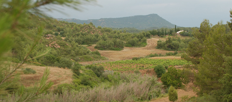 Catalunya