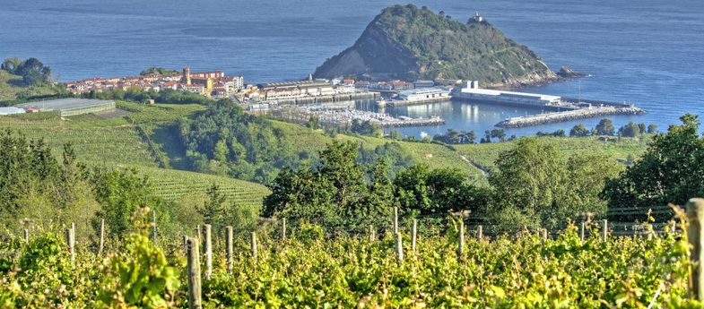 Getariako Txakolina - Txakoli de Getaria