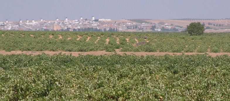 La Mancha