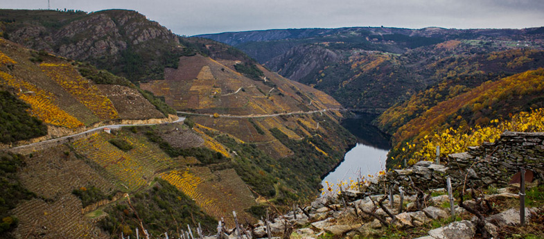 Ribeira Sacra