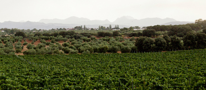 Sierras de Málaga