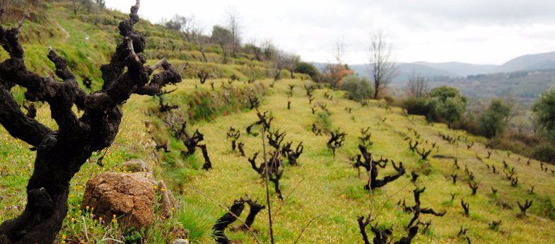 Sierra de Salamanca