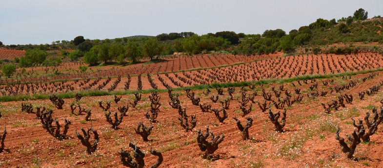 Utiel-Requena