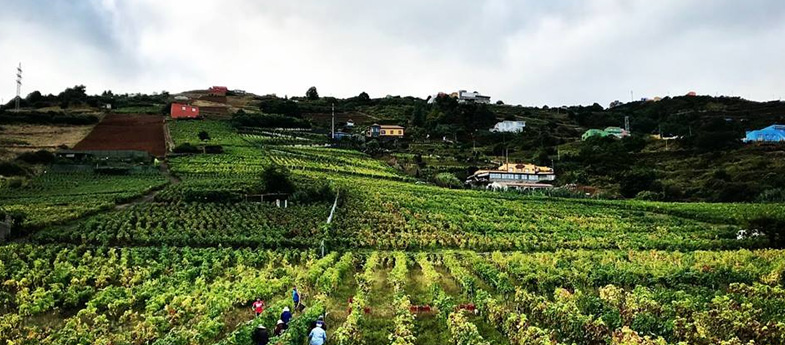 Valle de la Orotava