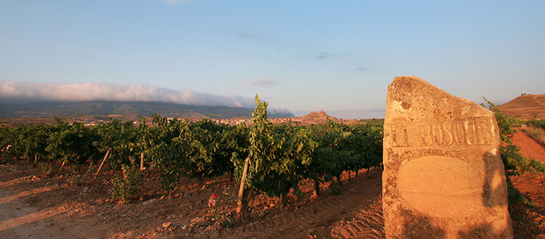 Viñedos Sierra Cantabria