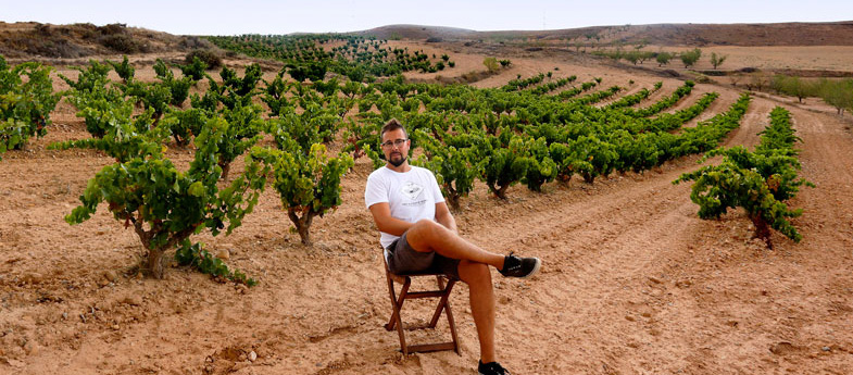 Vino de la Tierra Valdejalón