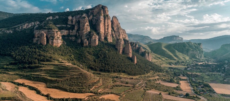 Vinos del Panorámico