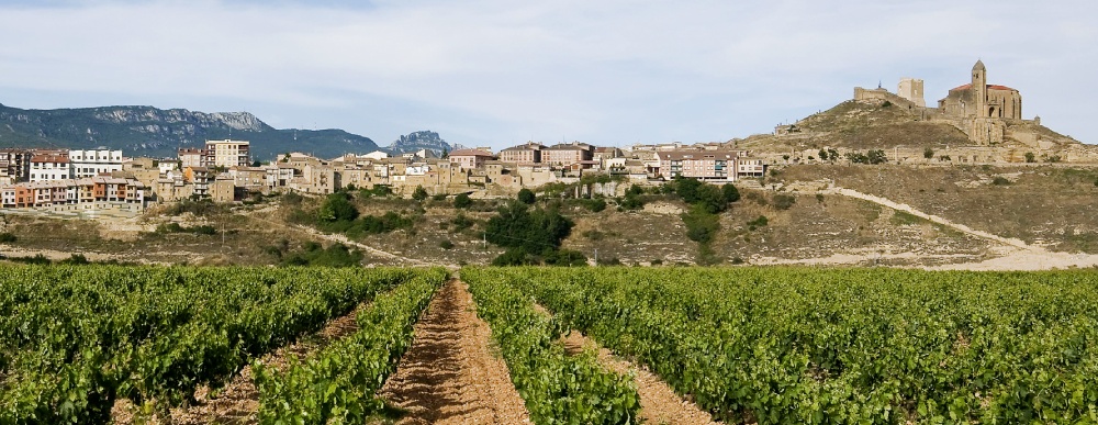 san vicente de la sonsierra
