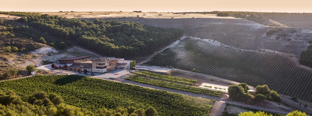 bodegas conde de san cristobal
