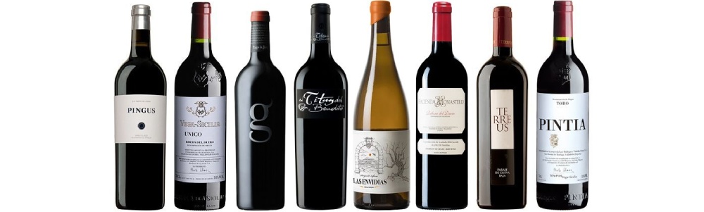 los mejores vinos del duero 2025