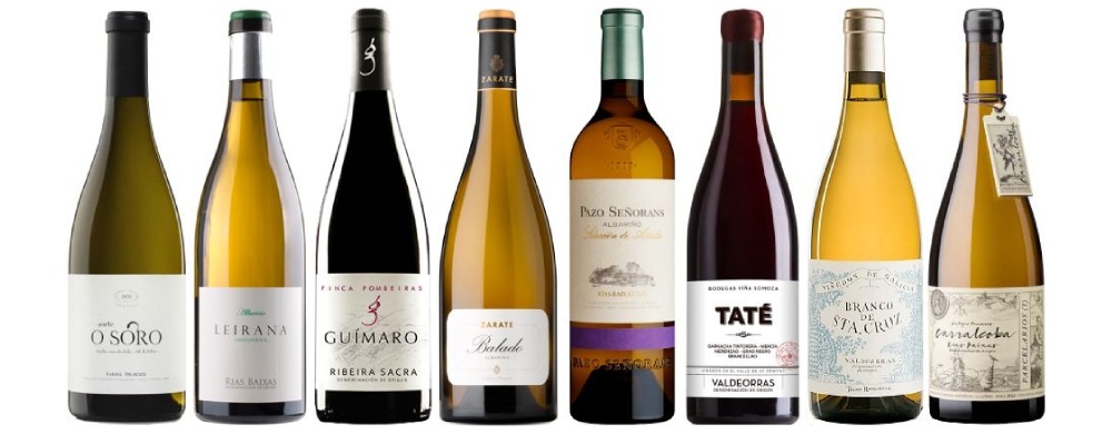 los mejores vinos de galicia 2025
