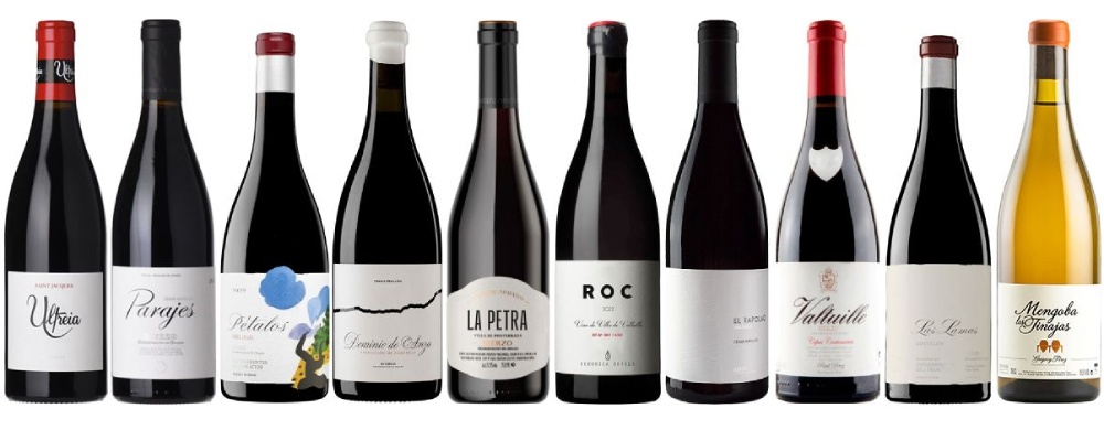 los mejores vinos del bierzo 2025
