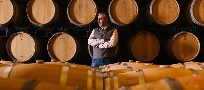 carlos san pedro de bodegas pujanza