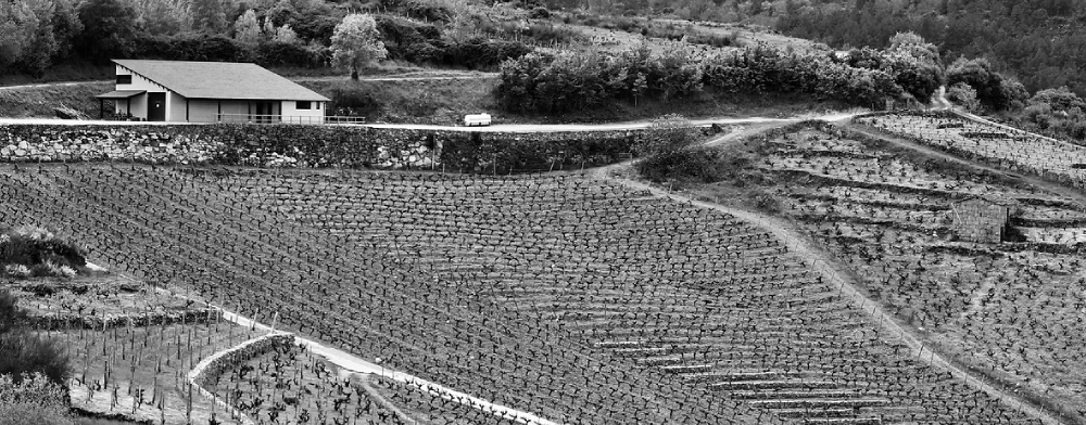 viñedos val do bibei
