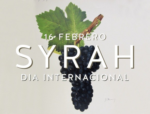 uva syrah caracteristicas