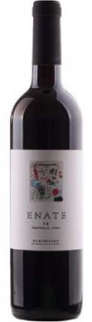enate TS vino tinto barrica somontano aragon españa
