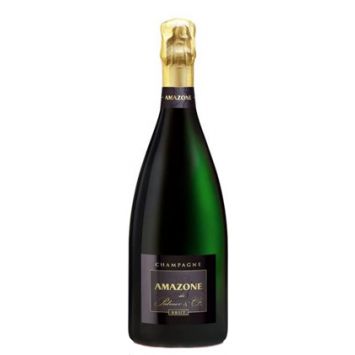 Amazone de Palmer champagne
