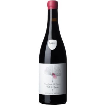 cáreo vino tinto veronica ortega bierzo castilla leon españa