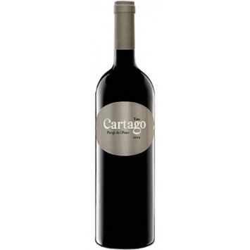 cartago paraje del pozo vino tinto toro maurodos san roman