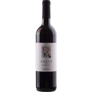 enate TS vino tinto barrica somontano aragon españa