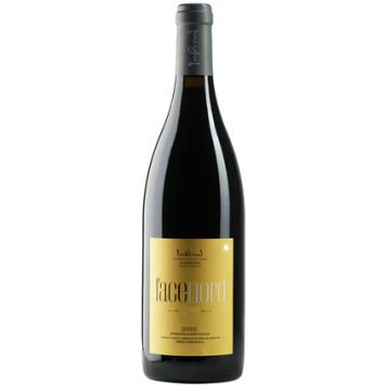 L'infernal Face Nord vino tinto Priorat Bodegas L'infernal