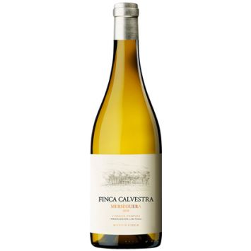 finca calvestra vino blanco con barrica valencia bodega mustiguillo