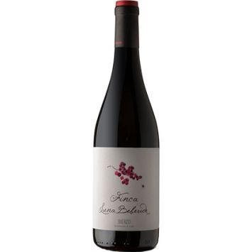 vino tinto finca luna beberide bierzo