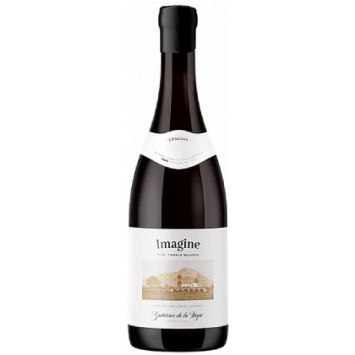 españa valencia alicante bodegas gutierrez de la vega vino tinto imagine