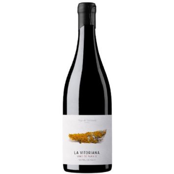 la vitoriana pago de valdoneje vino tinto bodegas vinos valtuille bierzo castilla leon españa