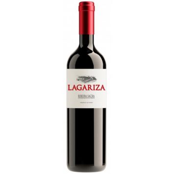 Lagariza 2017 vino tinto ribeira sacra Bodegas Finca Míllara