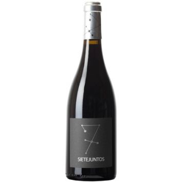 Microbio Sietejuntos Syrah vino tinto Ismael Gozalo