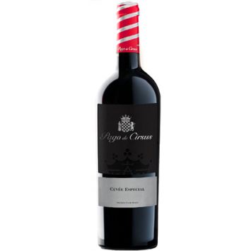 pago de cirsus cuvee especial vino navarra