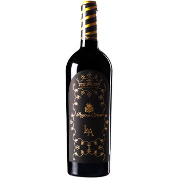 pago de cirsus la a vino navarra