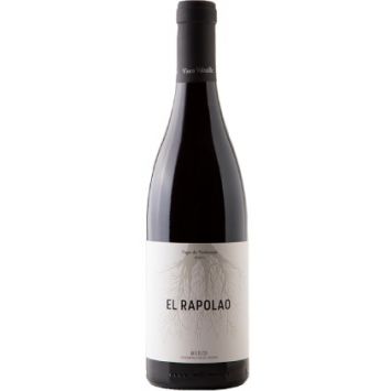 españa castilla leon bierzo bodega vinos valtuille vino tinto pago de valdoneje el rapolao