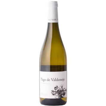 españa castilla leon bierzo bodega vinos valtuille vino blanco pago de valdoneje godello
