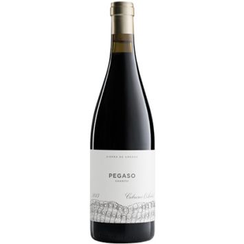 pegaso granito vino tinto castilla leon cebreros telmo rodriguez