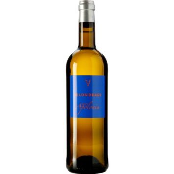 castilla leon rueda bodega belondrade vino blanco quinta apolonia