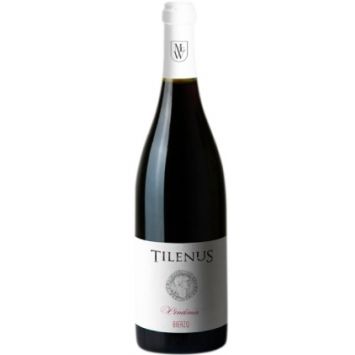 castilla y leon bierzo bodegas estefania vino tinto tilenus vendimia joven
