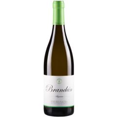 Algueira Brandán Godello Vino Blanco Ribeira Sacra