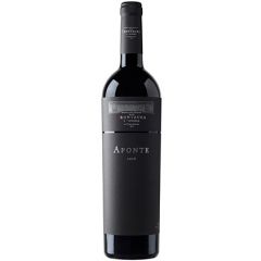 Aponte Reserva 2009 vino tinto de bodegas frontaura Toro