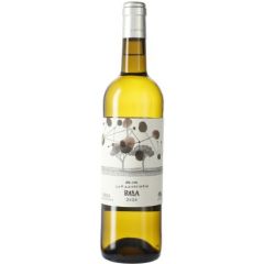 españa castilla leon rueda telmo rodriguez vino blanco basa verdejo