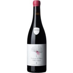 cáreo vino tinto veronica ortega bierzo castilla leon españa