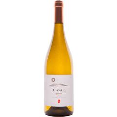 Casar Godello vino blanco bodega casar de burbia bierzo castilla leon españa