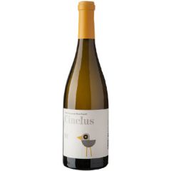 Cinclus SC vino blanco alt penedes