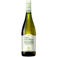 Finca la Colina Sauvignon Blanc vino blanco Rueda Bodegas Vinos Sanz