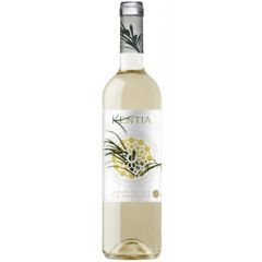 Kentia 2017 vino blanco Rías Baixas Bodegas Orowines