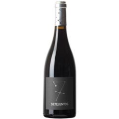 Microbio Sietejuntos Syrah vino tinto Ismael Gozalo