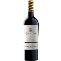 pago de cirsus vendimia seleccionada vino navarra