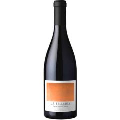 españa castilla leon bierzo bodega vinos valtuille vino tinto pago de valdoneje la telleria